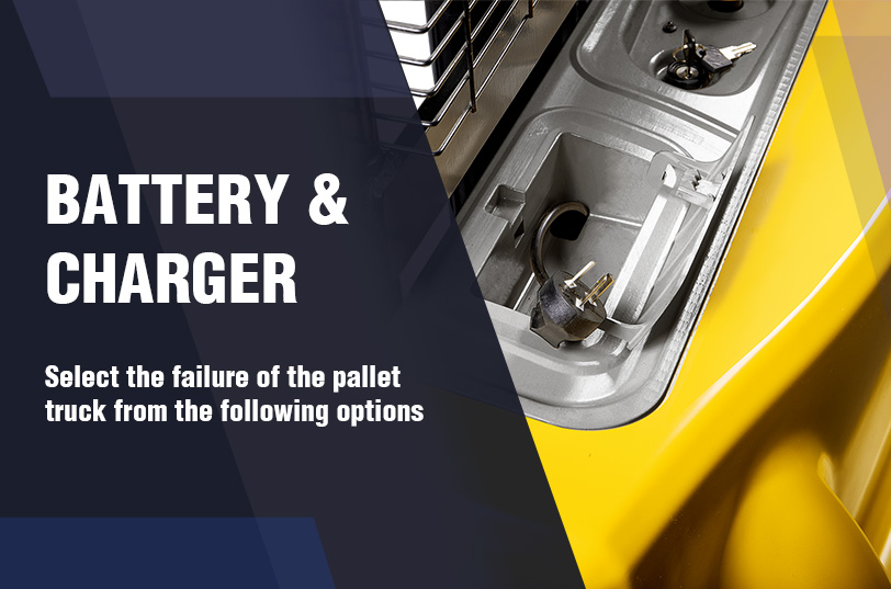 Battery & Charger